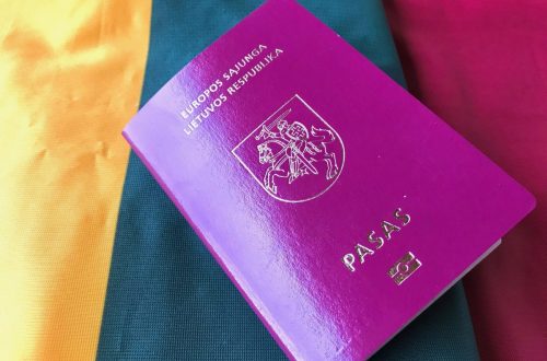 Neatimta pilietybė: referendumo reikalaujanti rezoliucija